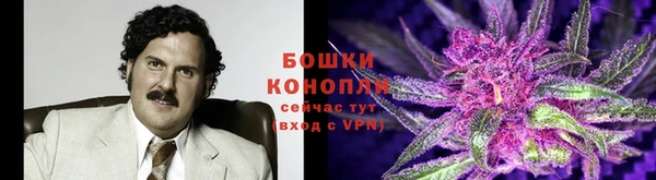 ПСИЛОЦИБИНОВЫЕ ГРИБЫ Абинск