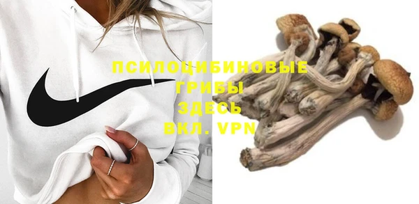 ПСИЛОЦИБИНОВЫЕ ГРИБЫ Абинск