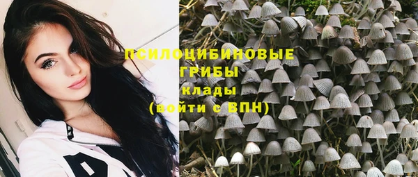 прущий лед Абаза