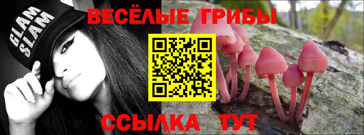 Псилоцибиновые грибы прущие грибы  Вход с VPN  Псилоцибиновые грибы MAGIC MUSHROOMS  Новокузнецк 
