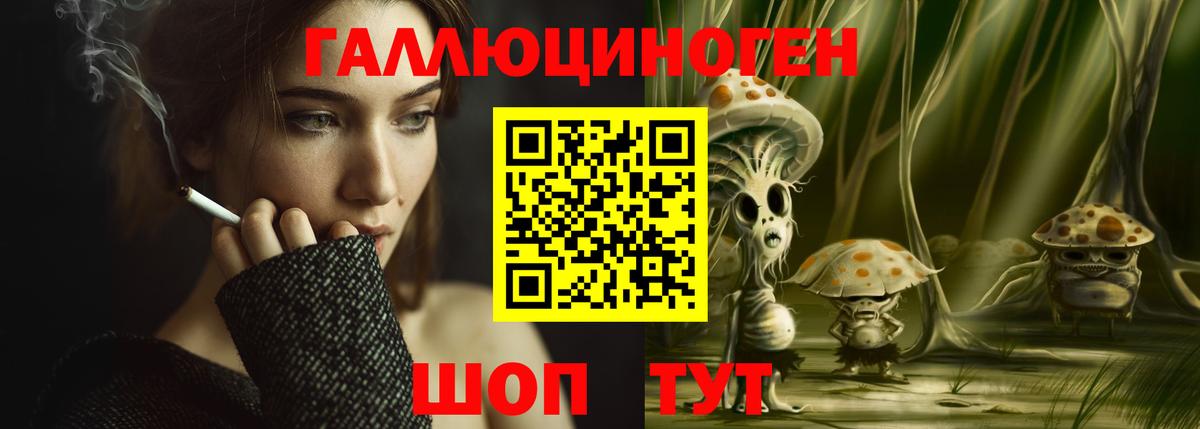 Галлюциногенные грибы Psilocybine cubensis Новокузнецк