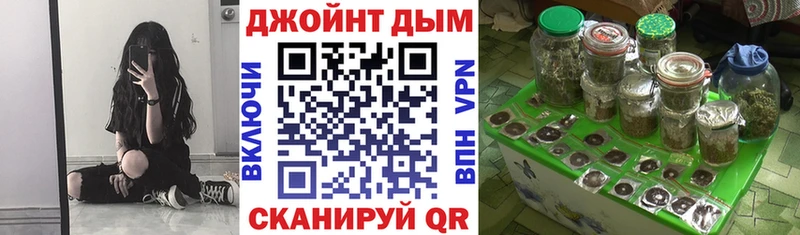 Марихуана сатива  даркнет сайт  Новокузнецк 