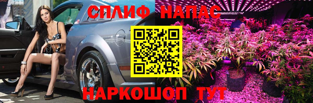 Шишки марихуана семена Новокузнецк